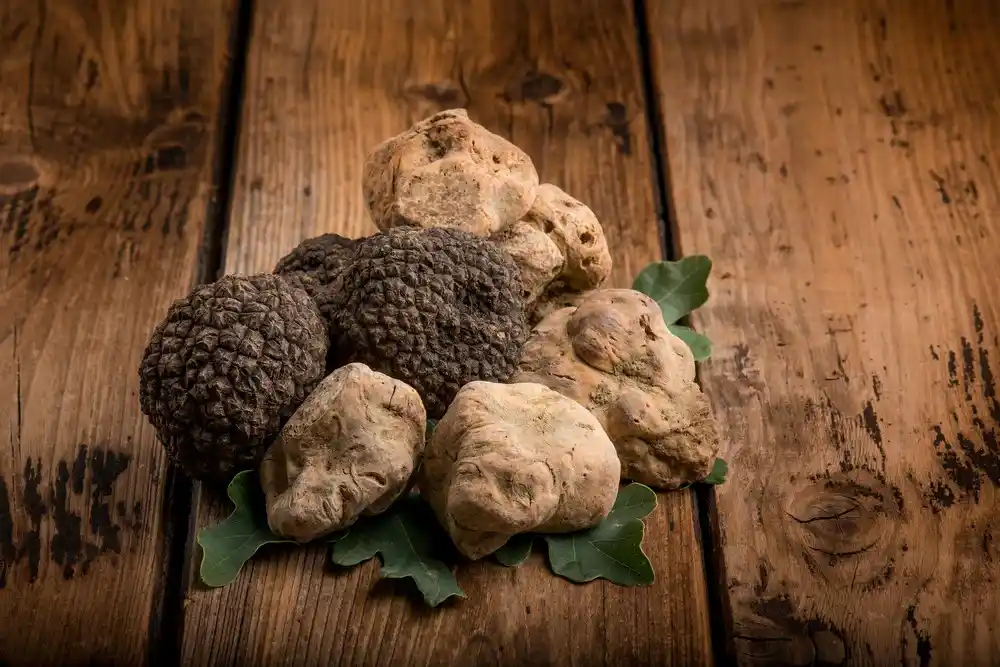 white and black truffles